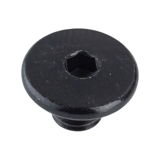 Shimano BL-M666 Bleed Screw & O-Ring